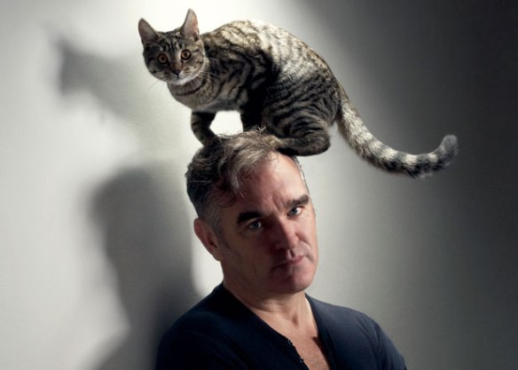 Pussy on the brain? - HipsterApproved.net