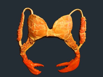 Remember Lady Gaga's 'meat-dress'? Here's the Crab Bra! ~ HipsterApproved.net